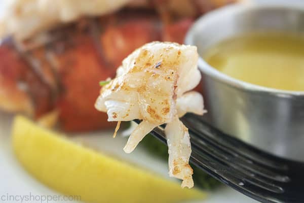 Lobster on a fork