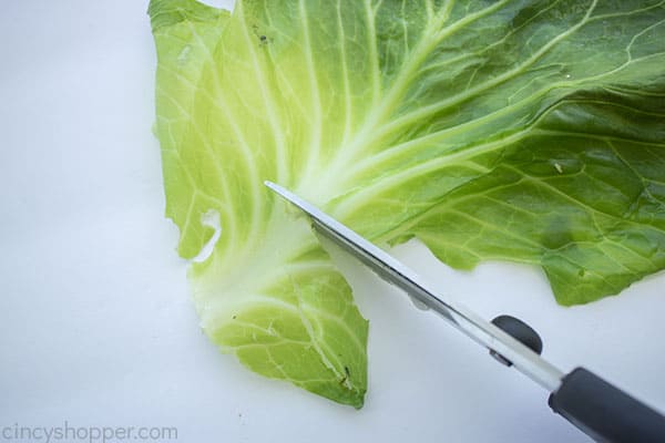 Trimming cabbage leaves