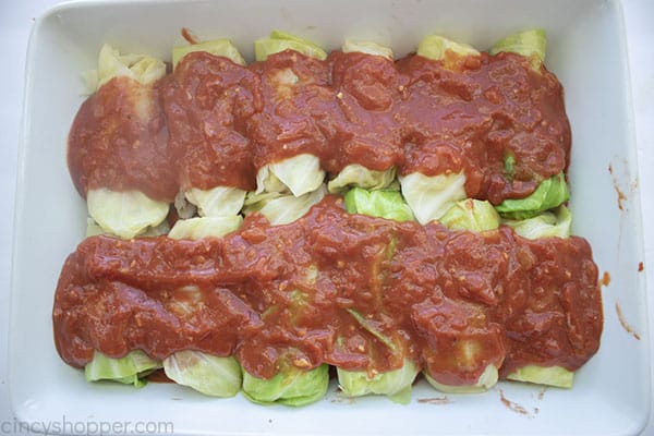 Sauce added to rolled cabbage