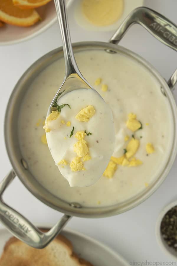 Egg gravy on a spoon with yolks