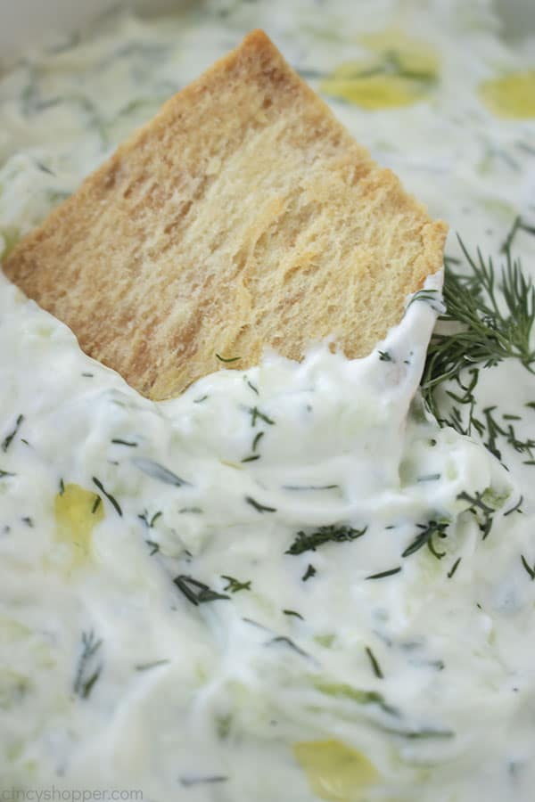 Homemade Tzatziki Sauce with a pita chip