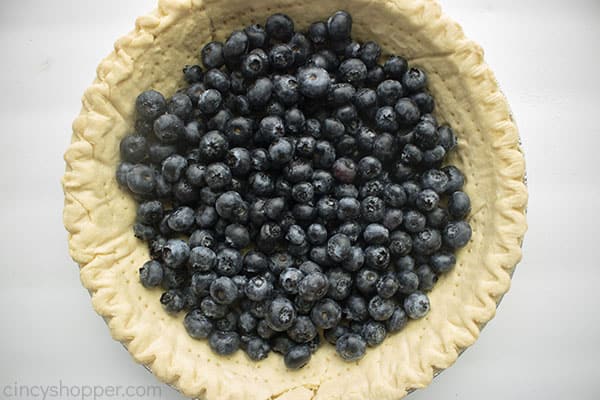 Blueberries added to prebaked pie crust