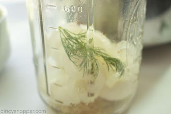 Fresh dill added to jar