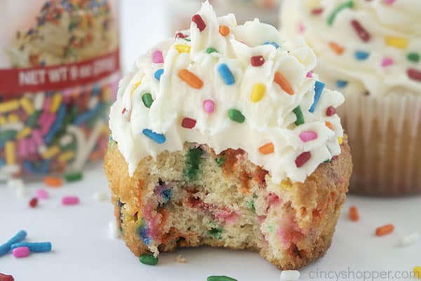 Homemade Birthday Cupcakes with frosting and sprinkles