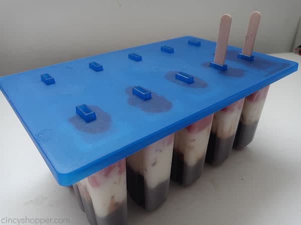 Sticks placed in popsicle mold