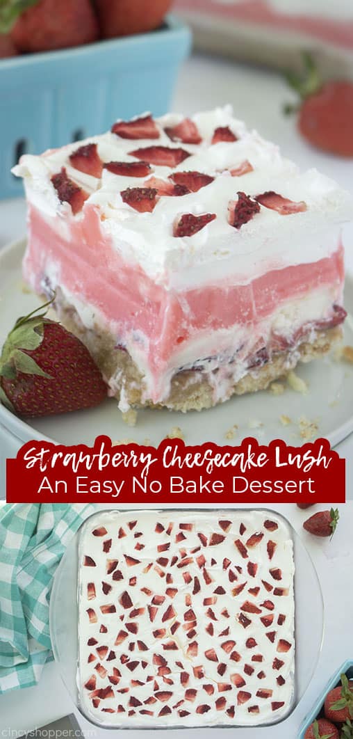 Long pin with text Strawberry Cheesecake Lush An Easy No Bake Dessert
