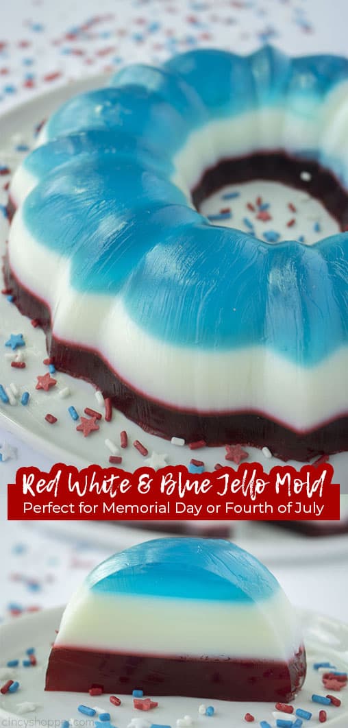 Long pin Red White & Blue Jello Mold Perfect for Memorial Day and Fourth of July