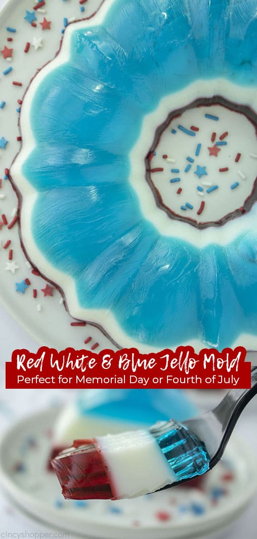 Long pin Red White & Blue Jello Mold Perfect for Memorial Day and Fourth of July