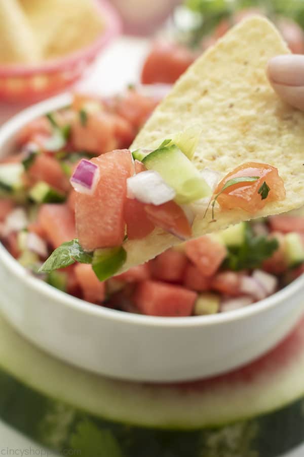 Tortilla chip with fresh fruit salsa