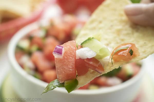 Fresh Salsa with Watermelon on a chip