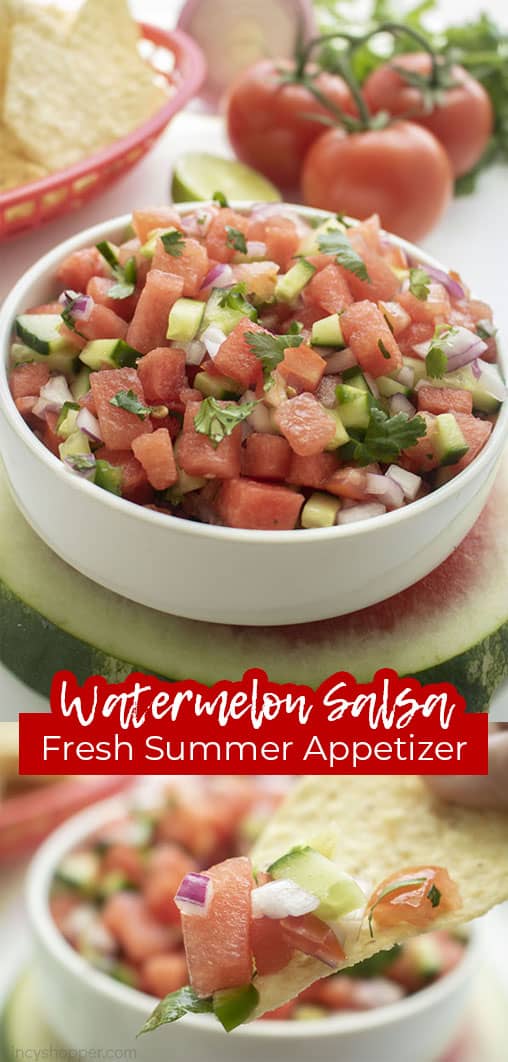 Long pin with text Watermelon Salsa Fresh Summer Appetizer