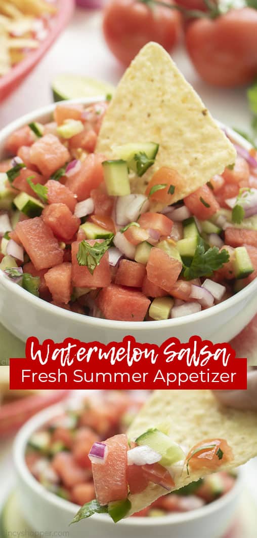 Long pin with text Watermelon Salsa Fresh Summer Appetizer