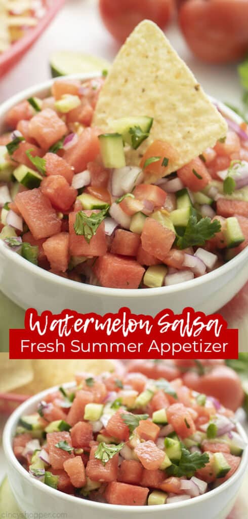 Watermelon Salsa - CincyShopper
