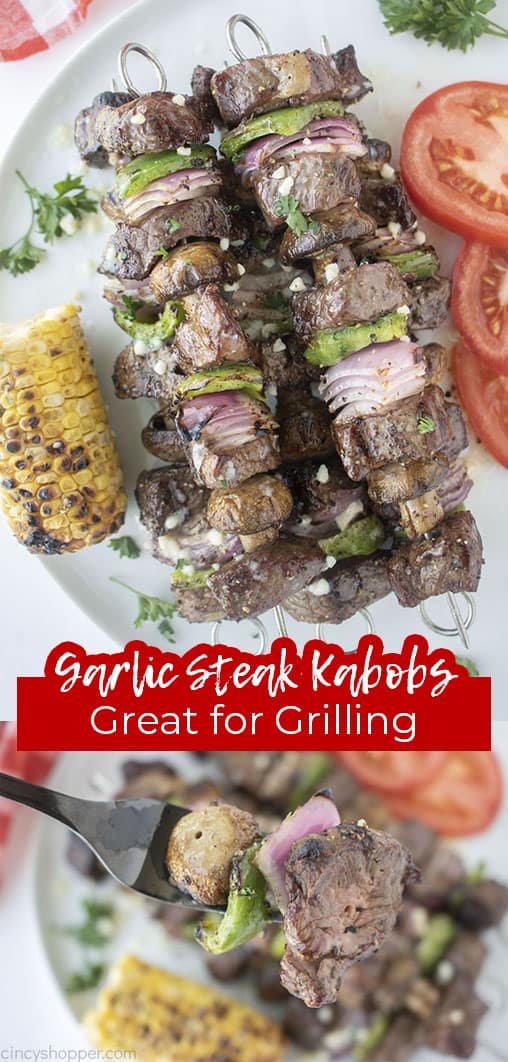 Long pin text Grilled Steak Kabobs Great for Grilling