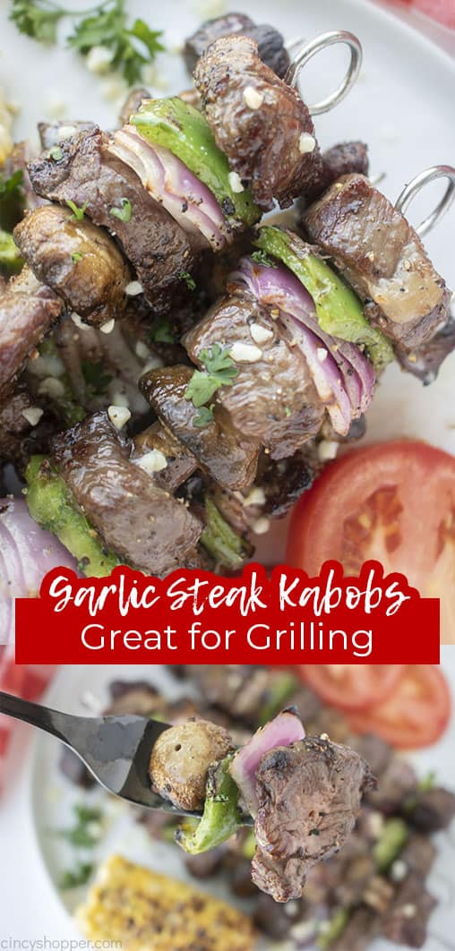 Long pin text Grilled Steak Kabobs Great for Grilling