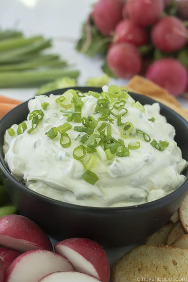 Bowl with Green Onion Dip