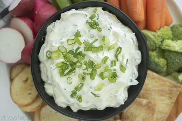 Homemade dip with green onions 