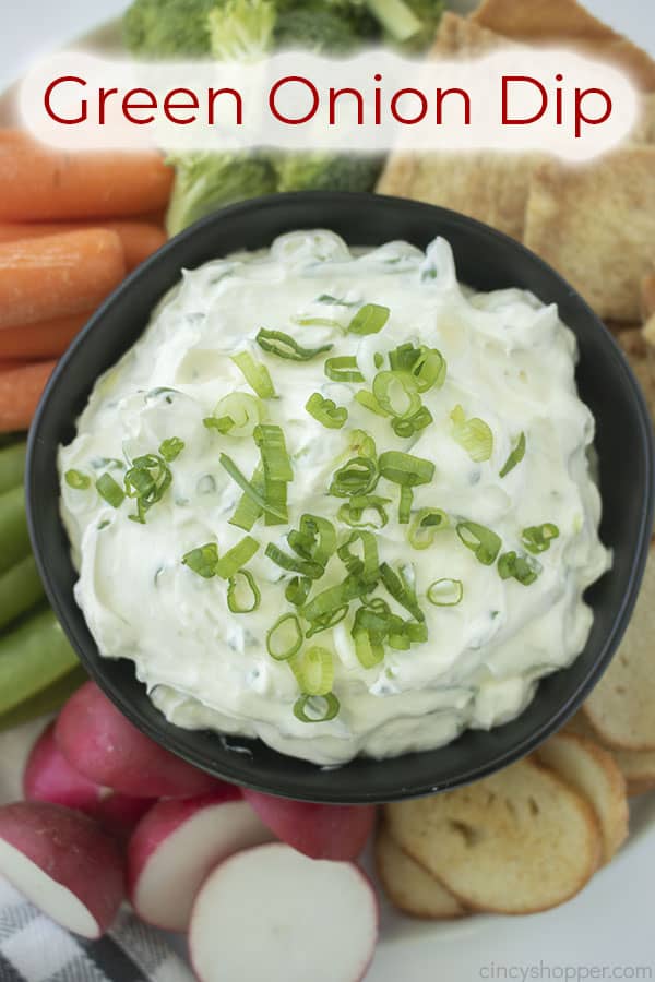 Text on image Green Onion Dip