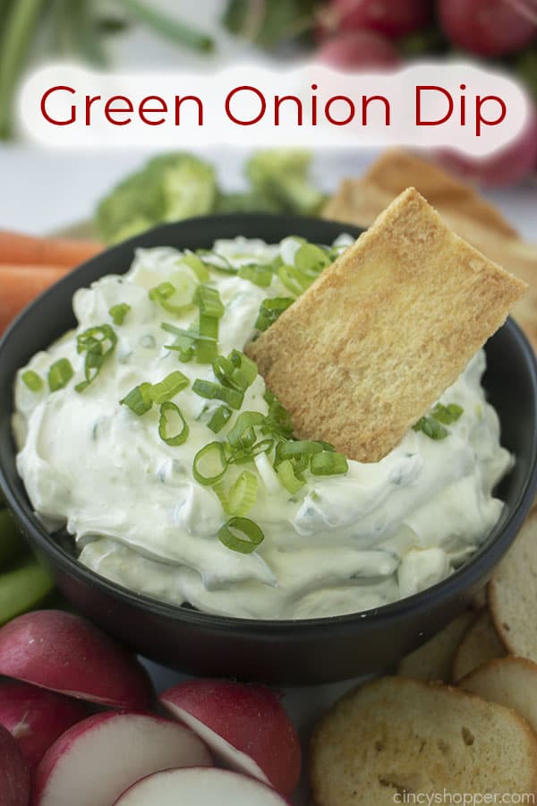 Text on image Green Onion Dip