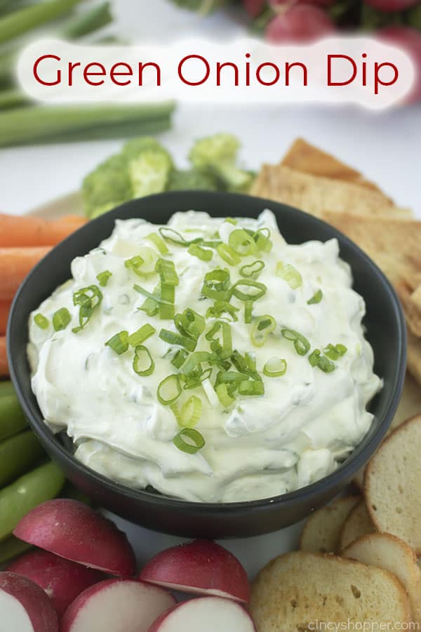 Text on image Green Onion Dip