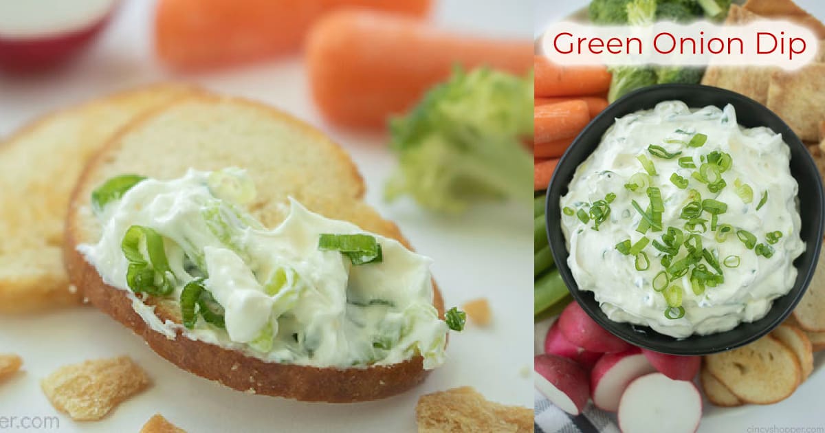 https://cincyshopper.com/wp-content/uploads/2021/06/Green-Onion-Dip-FB.jpg