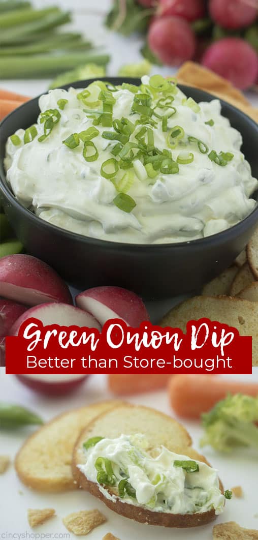 Green Onion Dip Recipe: Make it for Your Next Bash