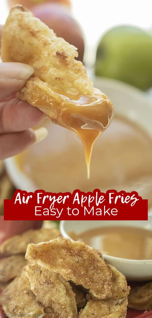 Long pin Air Fryer Apple Fries Easy to Make