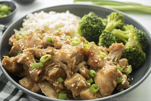 Dish with Teriyaki Chicken, rice and broccoli