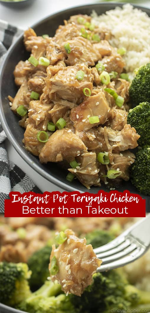 Instant Pot Teriyaki Chicken and Rice