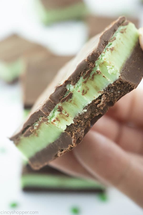 Bite in Easy Mint Fudge