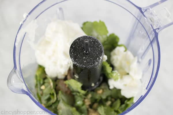 Dressing Ingredients in food processor