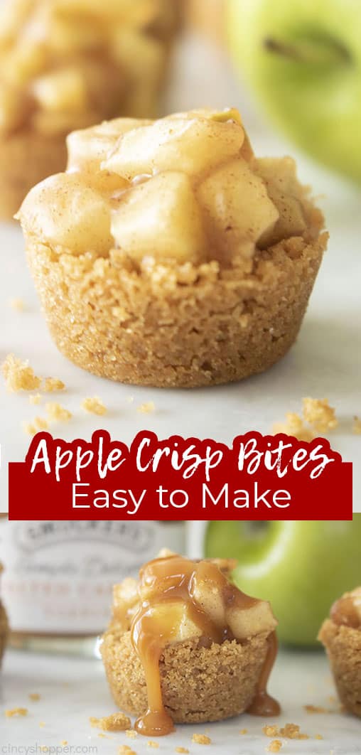 Long in Apple Crisp Bites Easy to Mkae