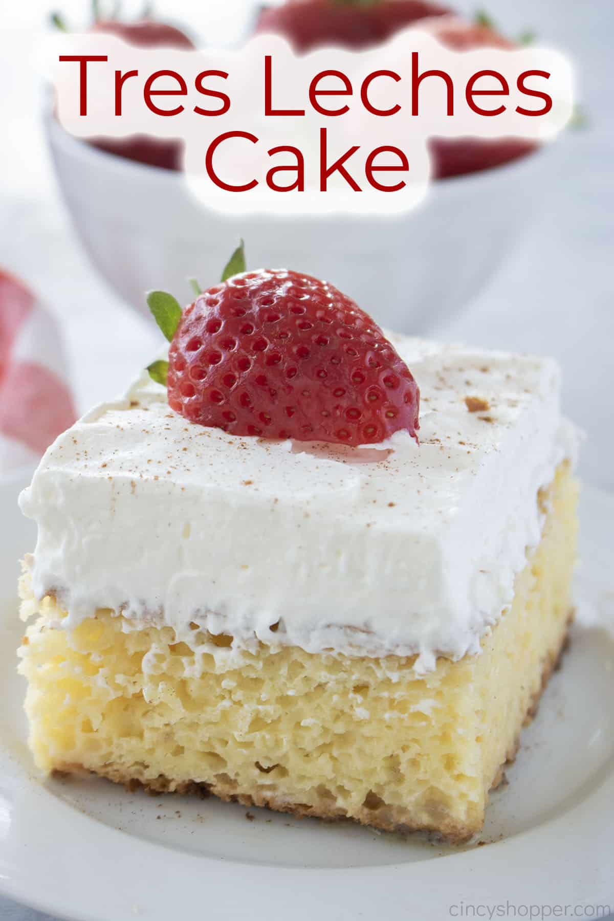 Text on image Tres Leches Cake