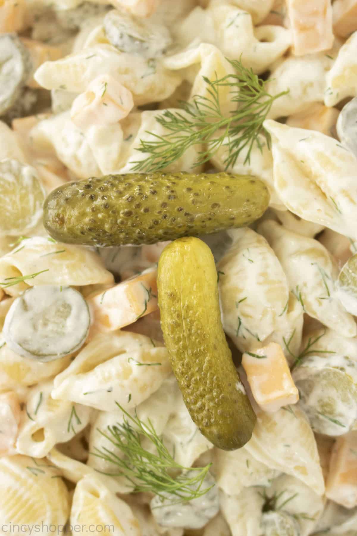 Closeup of dill pasta salad.