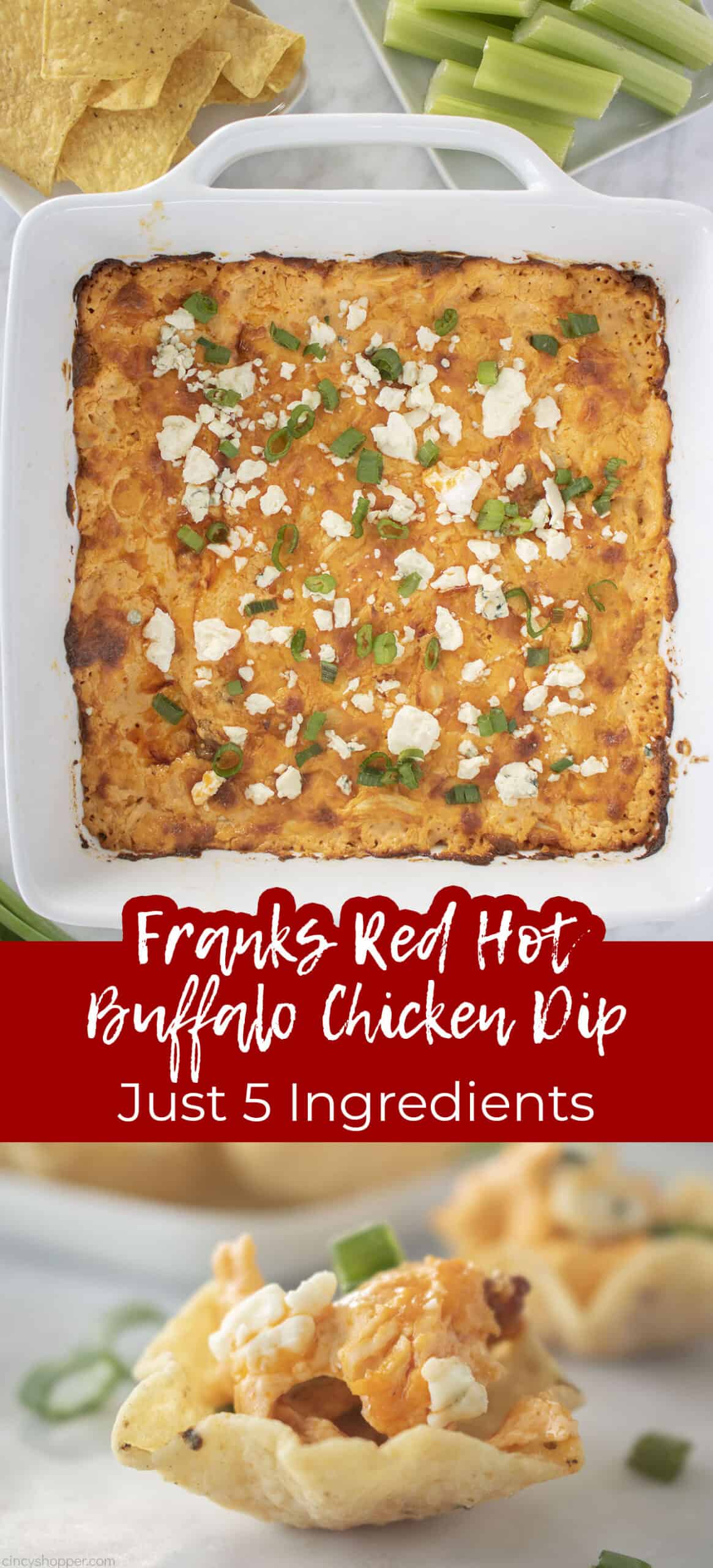 Franks Red Hot Buffalo Chicken Dip