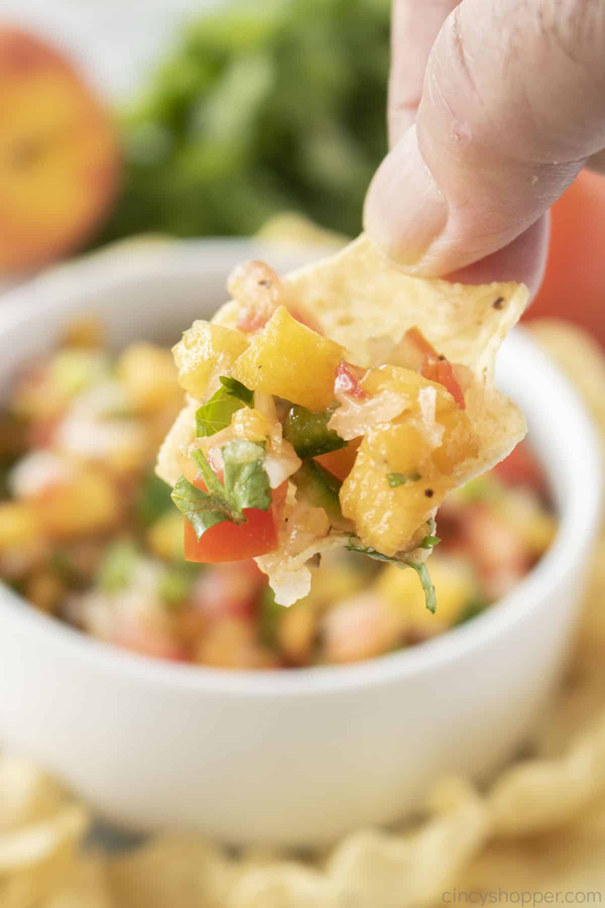 Homemade Salsa with Peaches on a tortilla chip.