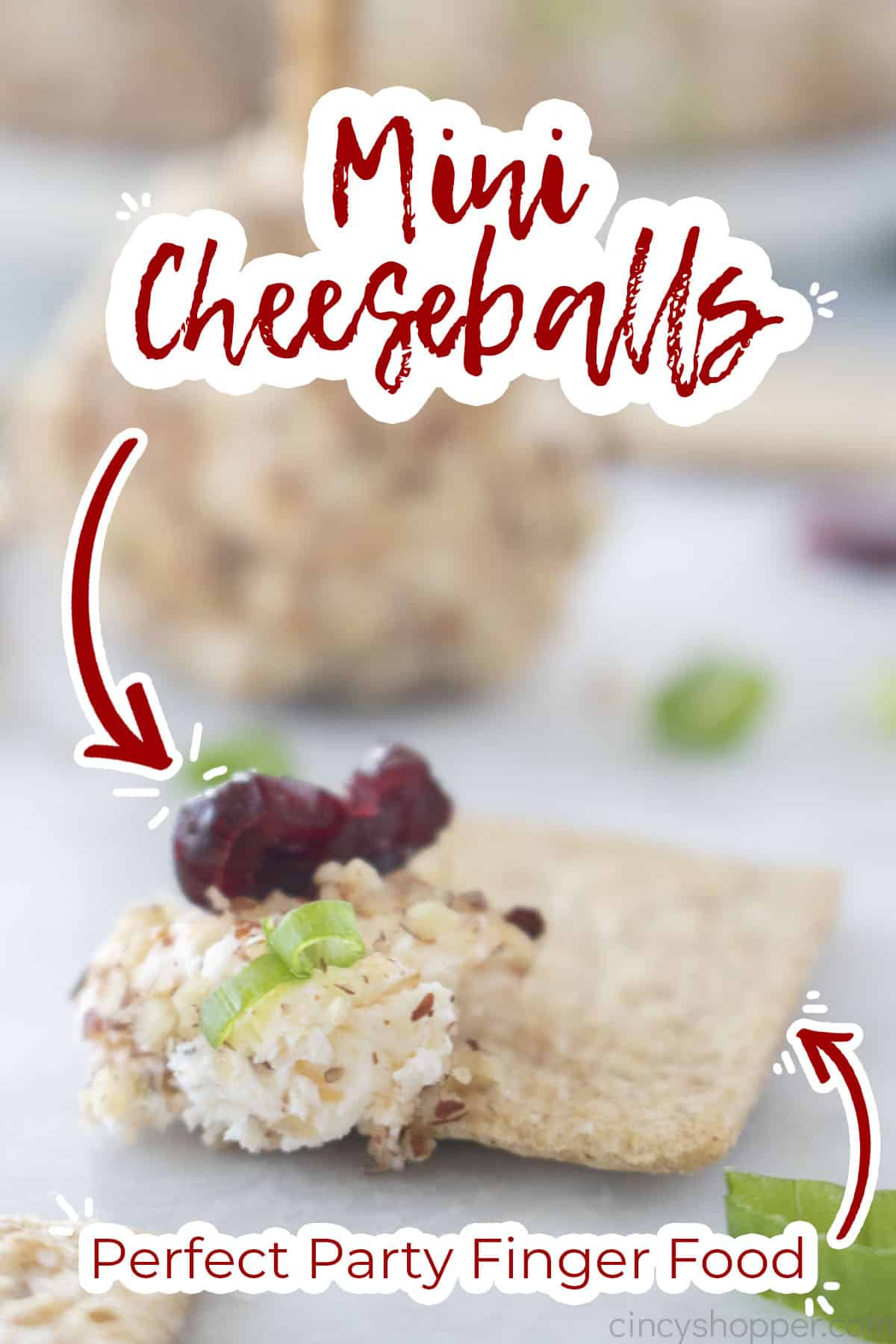 Text on image Mini Cheeseballs perfect Party finger food.