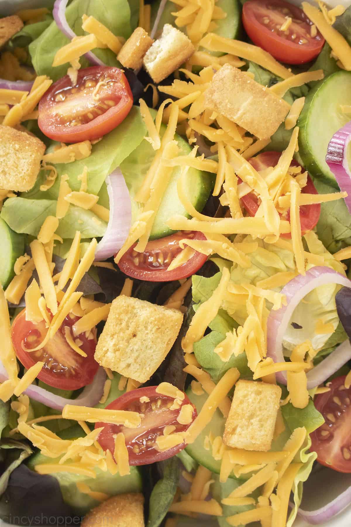 Closeup of green salad with tomatoes, onions, croutons, cucumbers and cheese.