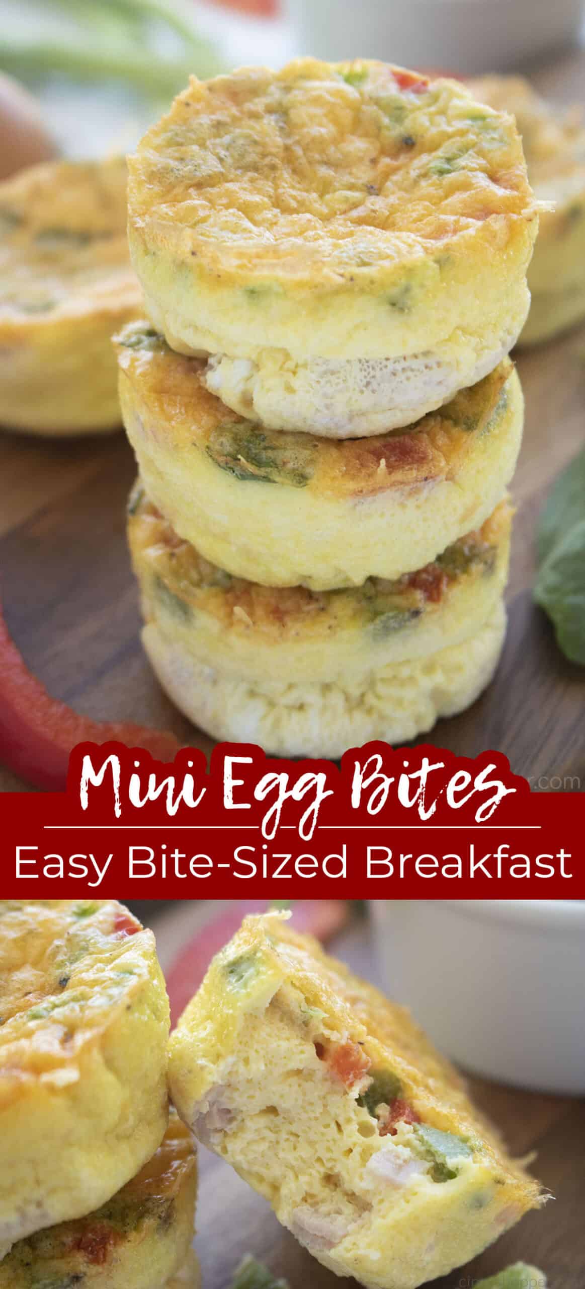 Long pin Mini Egg Bites Easy Bite Sized Breakfast