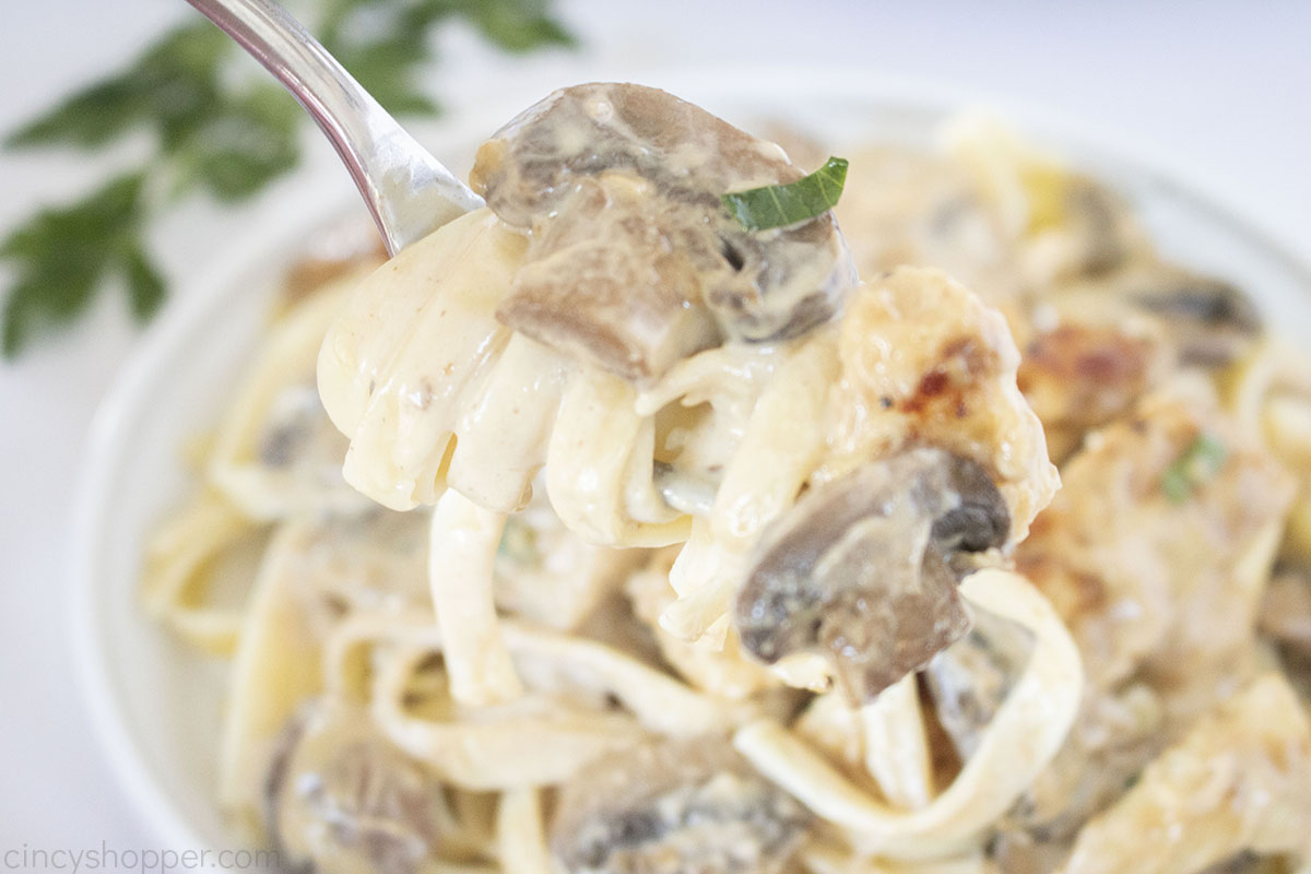 Fork with chicken, mushrooms and fettuccine