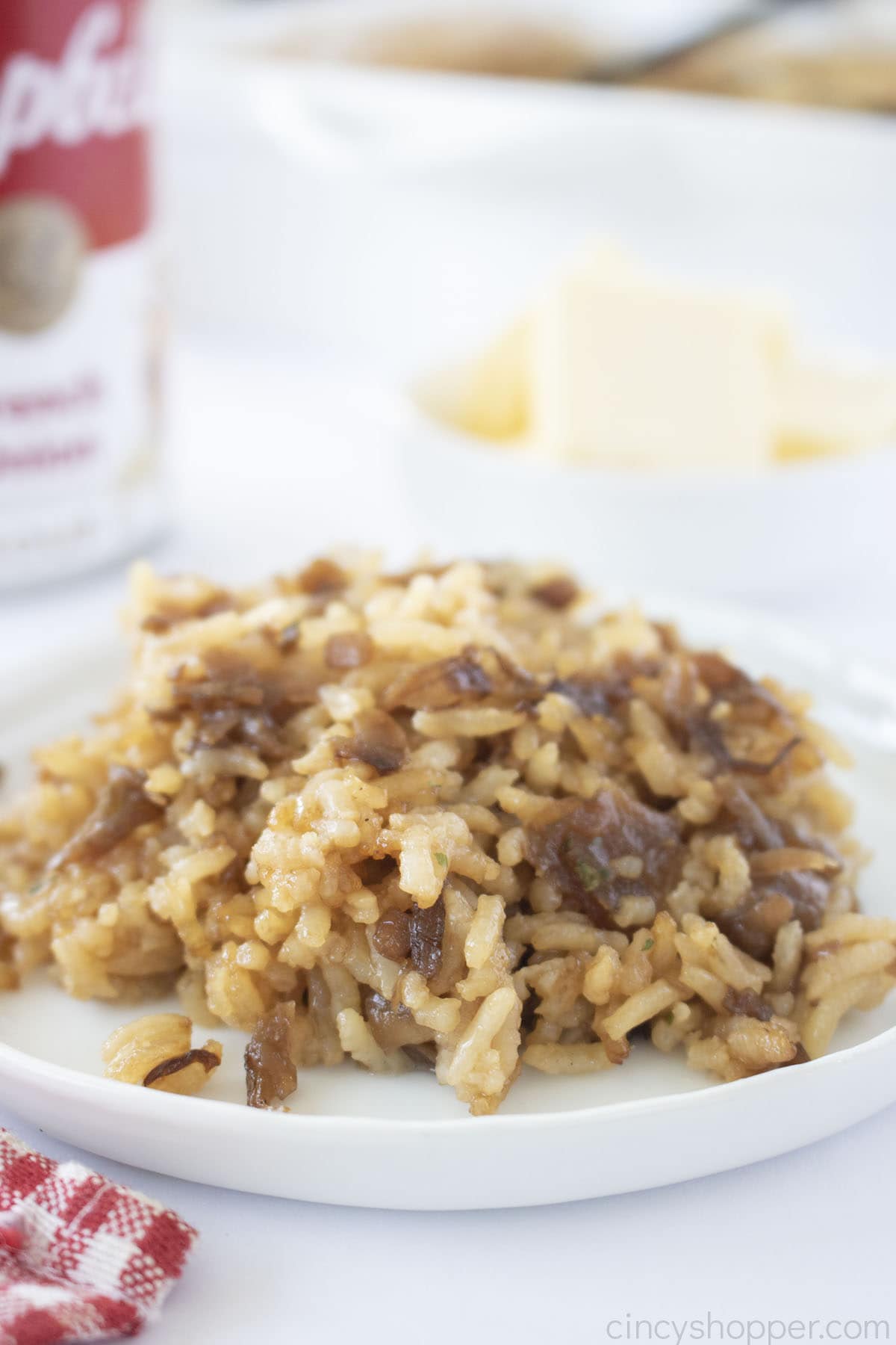 Rice with French Onion Soup on a white plate.