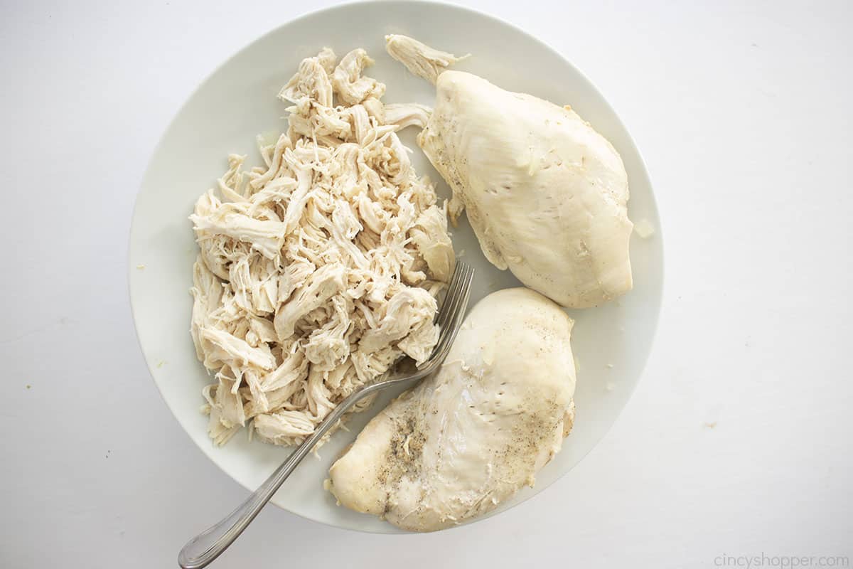 Shredded chicken on a white plate.