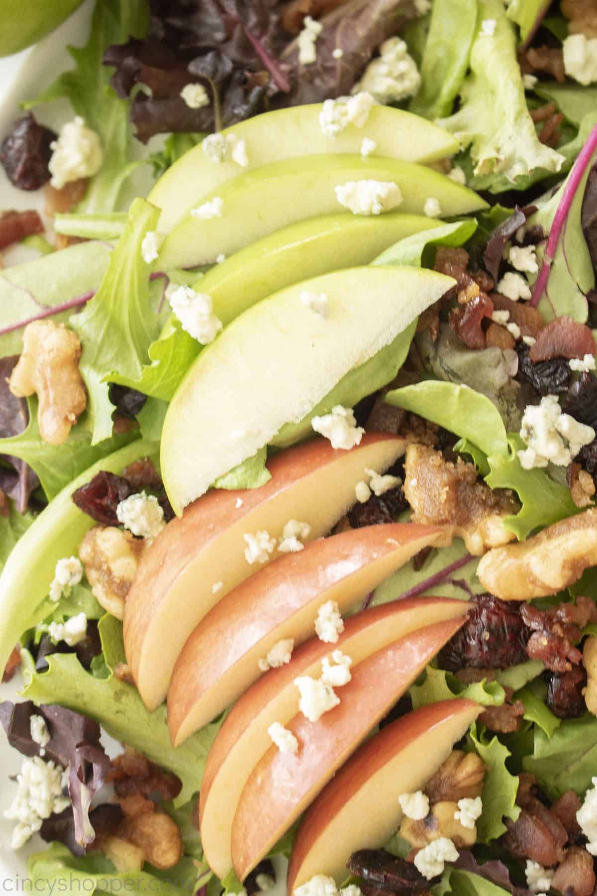 Close up of Apple Cranberry and Walnut salad.