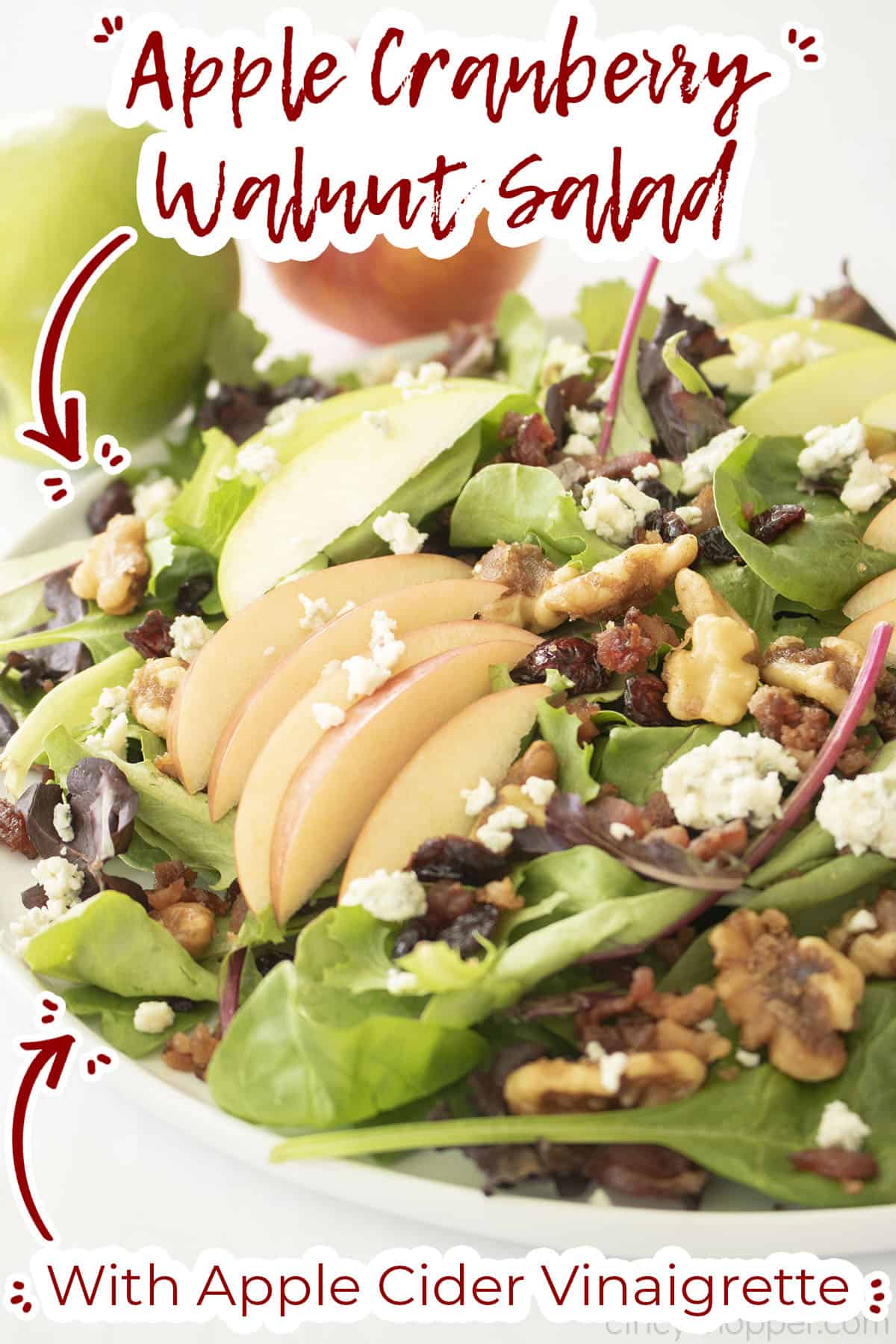 Text on image Apple Cranberry Walnut Salad with Apple Cider Vinaigrette