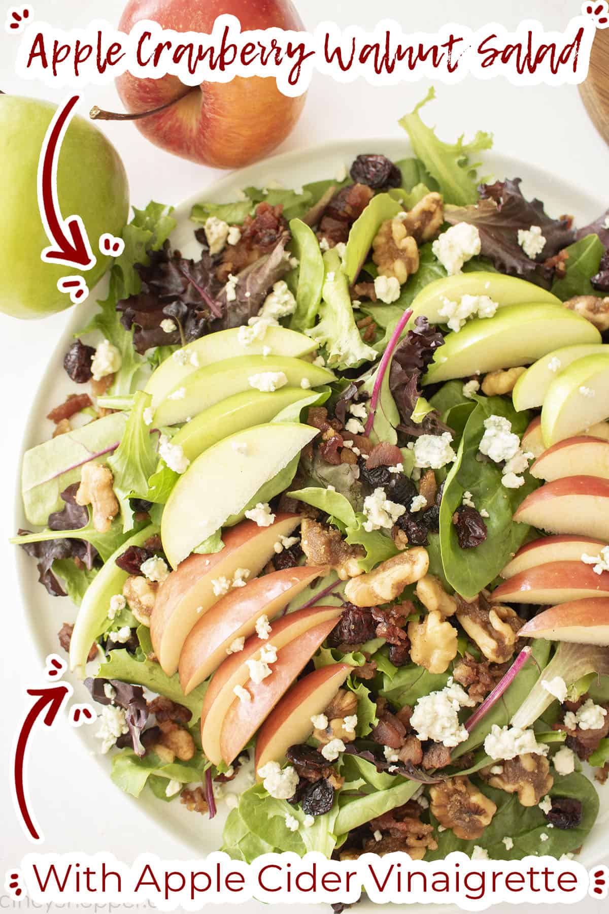 Text on image Apple Cranberry Salad with Apple Cider Vinaigrette