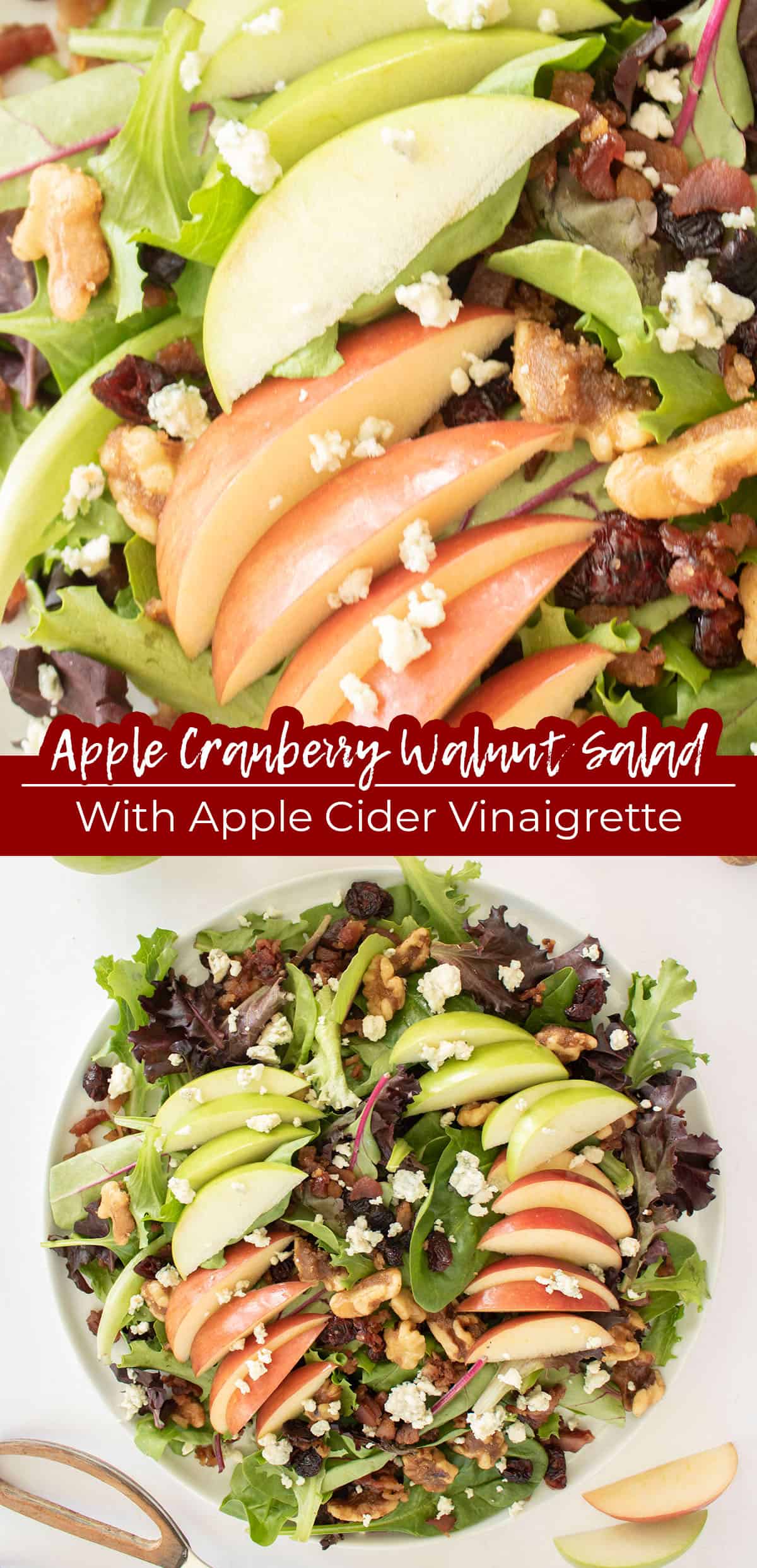 Long pin collage Text on image Apple Cranberry Walnut Salad with Apple Cider Vinaigrette