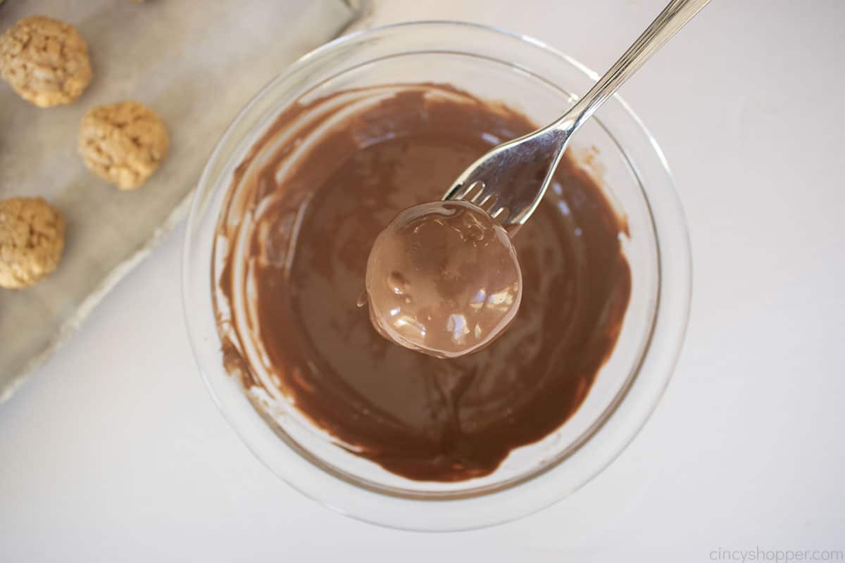 Peanut Butter candy Rice Krispies balls dipped in chocolate, on a fork.