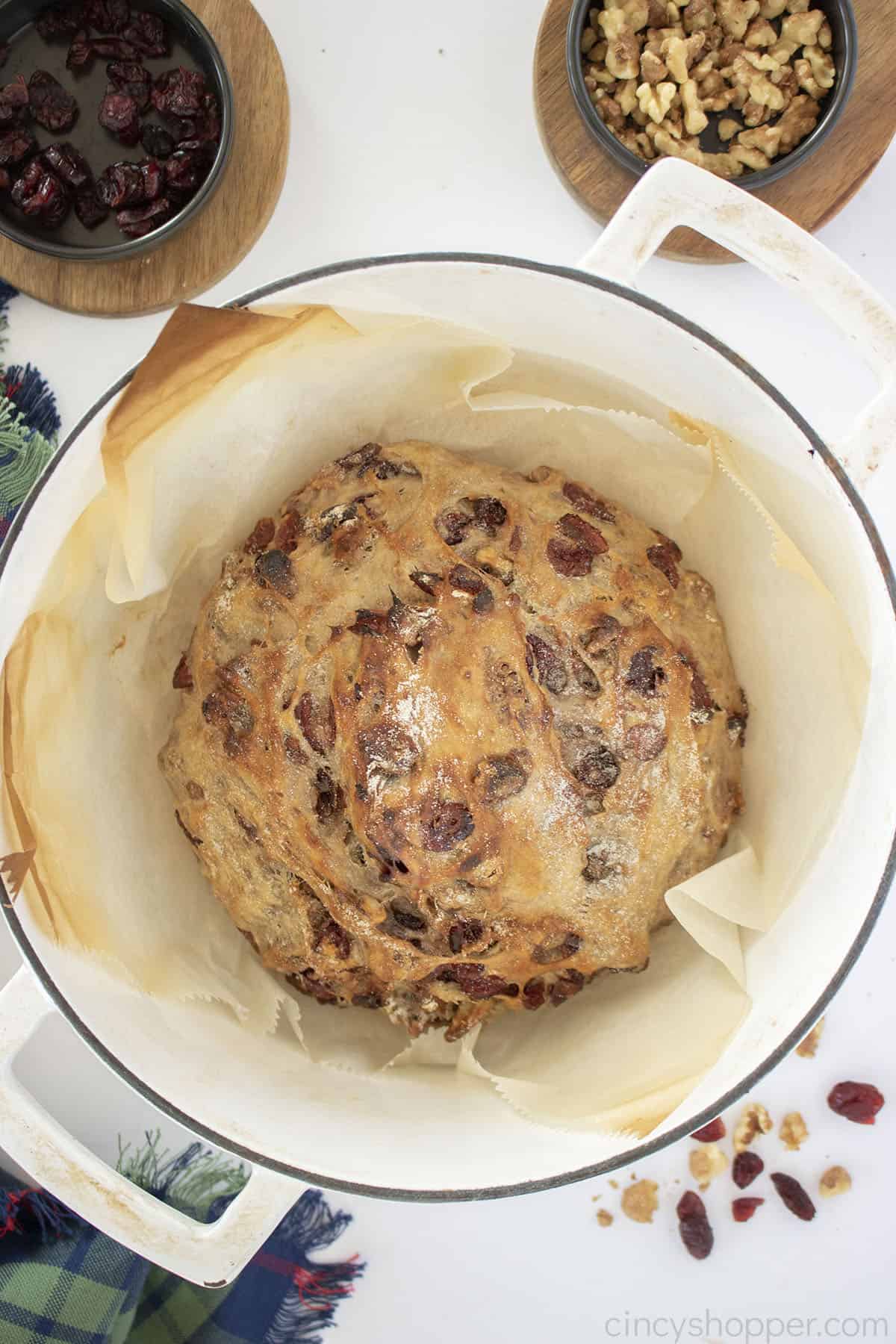 Loaf of No Knead Cranberry Walnut bread inside of a dutch oven.