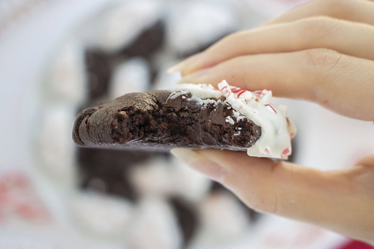 Closeup of a bite taken from peppermint decorated cookie.