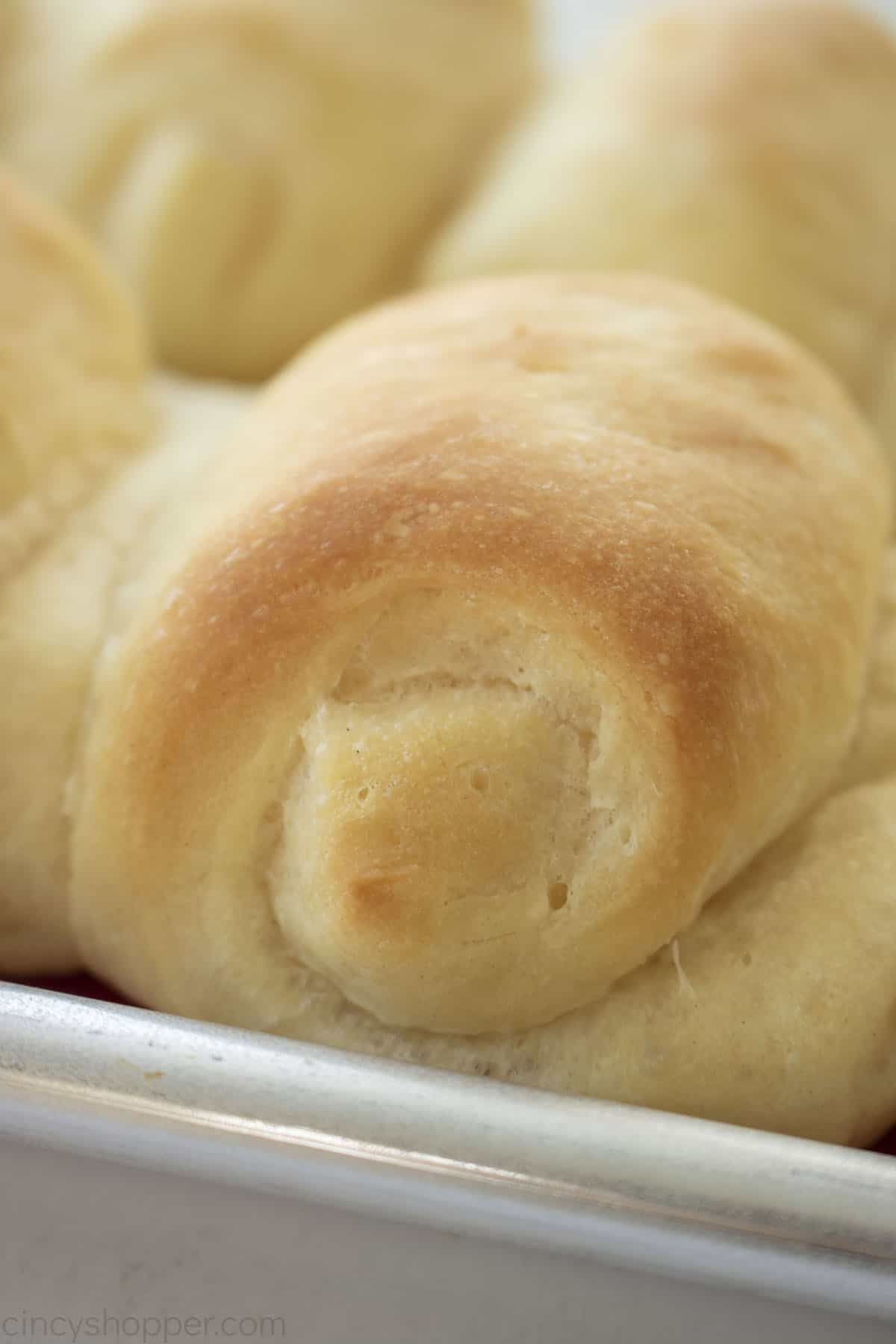 Closeup of single Lion House Rolls.